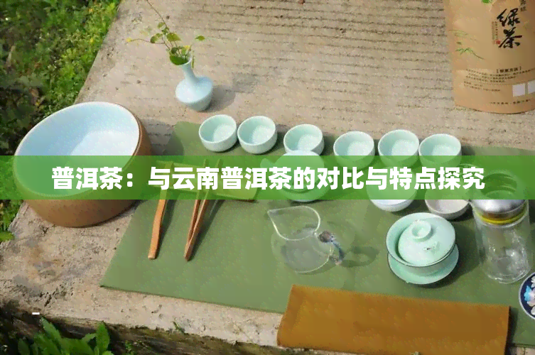 普洱茶：与云南普洱茶的对比与特点探究