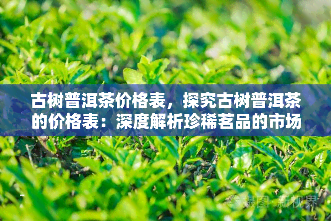 古树普洱茶价格表，探究古树普洱茶的价格表：深度解析珍稀茗品的市场价值