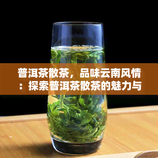 普洱茶散茶，品味云南风情：探索普洱茶散茶的魅力与文化