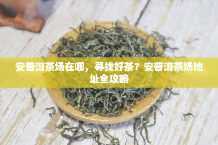 安普洱茶场在哪，寻找好茶？安普洱茶场地址全攻略