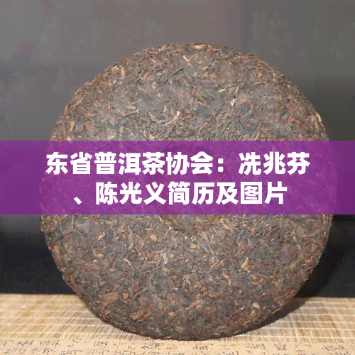 东省普洱茶协会：冼兆芬、陈光义简历及图片