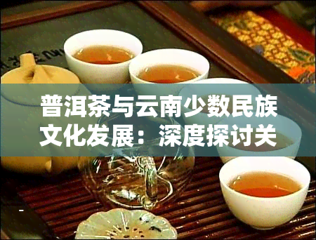 普洱茶与云南少数民族文化发展：深度探讨关系