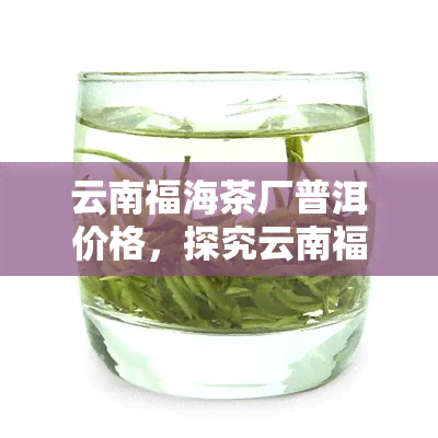 云南福海茶厂普洱价格，探究云南福海茶厂普洱茶的价格走势与品质特点