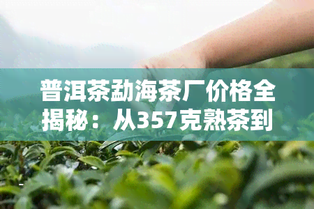 普洱茶勐海茶厂价格全揭秘：从357克熟茶到最新产品，一网打尽！