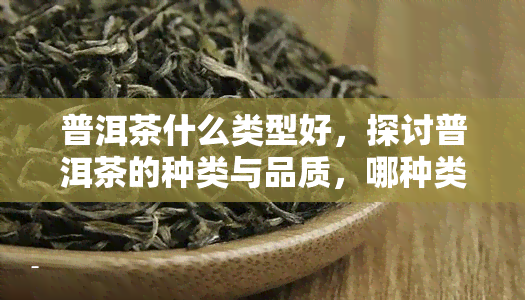 普洱茶什么类型好，探讨普洱茶的种类与品质，哪种类型的普洱茶？