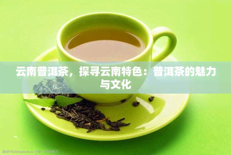 云南普洱茶，探寻云南特色：普洱茶的魅力与文化