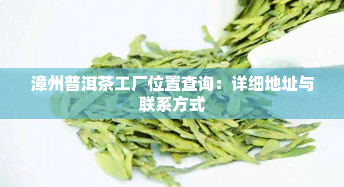 漳州普洱茶工厂位置查询：详细地址与联系方式
