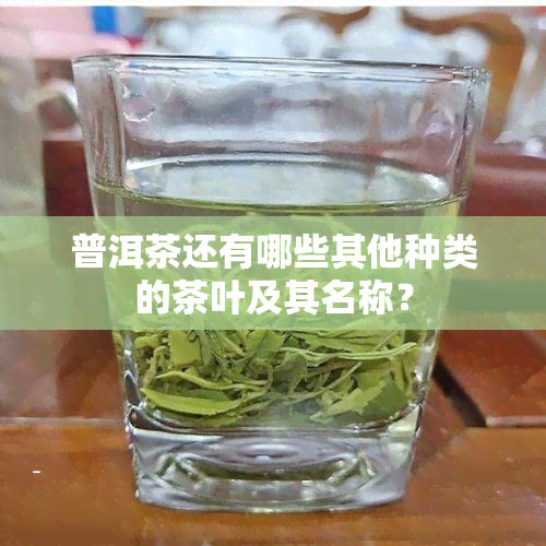 普洱茶还有哪些其他种类的茶叶及其名称？