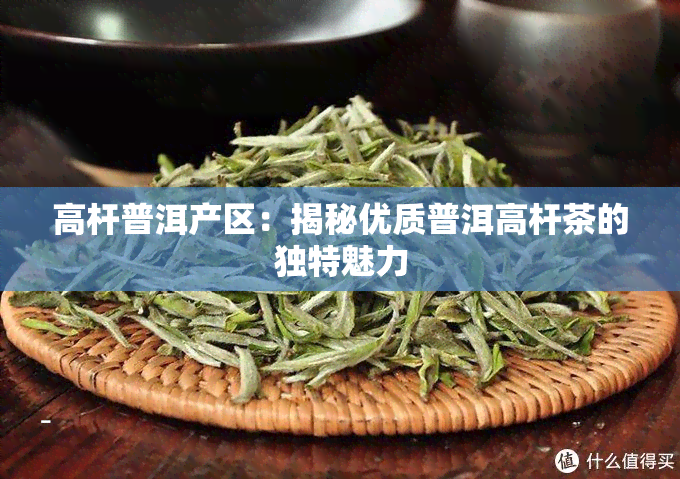 高杆普洱产区：揭秘优质普洱高杆茶的独特魅力
