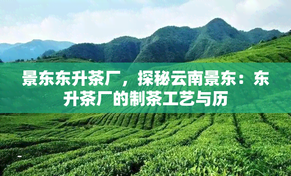 景东东升茶厂，探秘云南景东：东升茶厂的制茶工艺与历