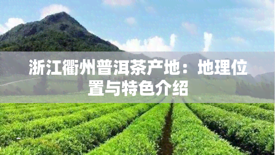 浙江衢州普洱茶产地：地理位置与特色介绍