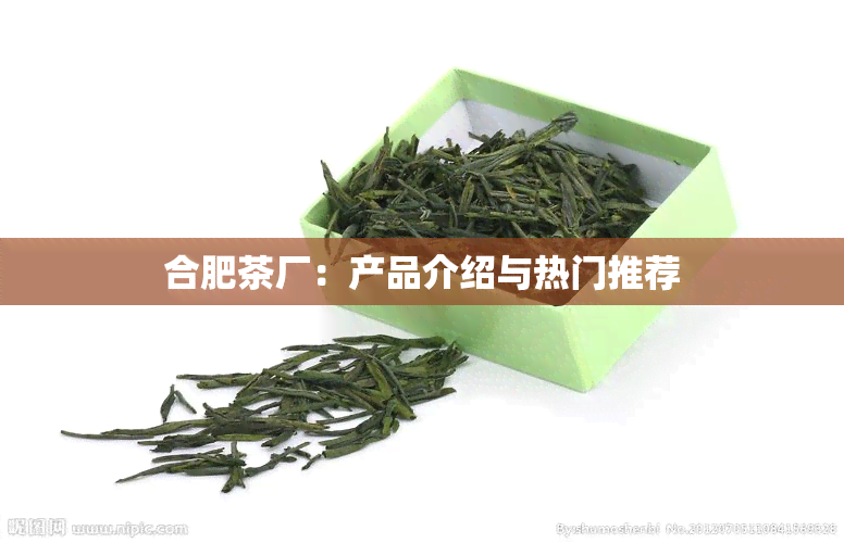 合肥茶厂：产品介绍与热门推荐