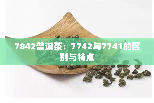 7842普洱茶：7742与7741的区别与特点