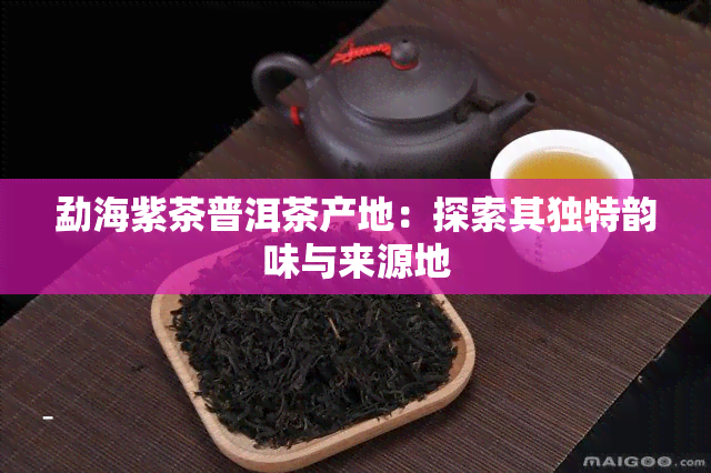 勐海紫茶普洱茶产地：探索其独特韵味与来源地