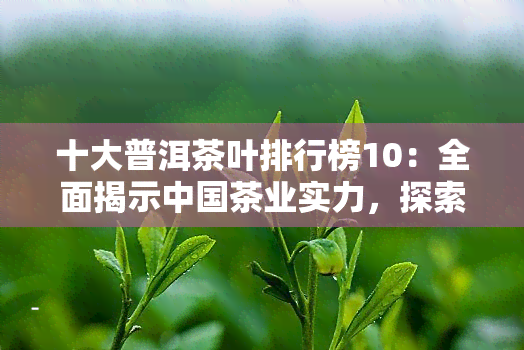 十大普洱茶叶排行榜10：全面揭示中国茶业实力，探索茶叶市场最新动态！