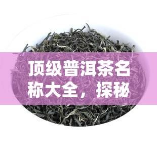 顶级普洱茶名称大全，探秘茶叶世界：顶级普洱茶全名大揭秘