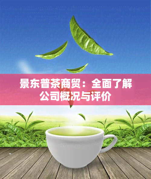 景东普茶商贸：全面了解公司概况与评价
