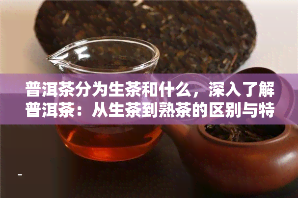 普洱茶分为生茶和什么，深入了解普洱茶：从生茶到熟茶的区别与特点