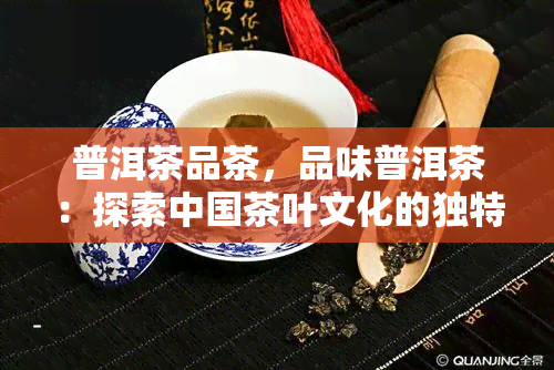 普洱茶品茶，品味普洱茶：探索中国茶叶文化的独特魅力
