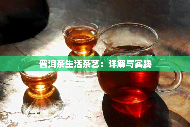 普洱茶生活茶艺：详解与实践