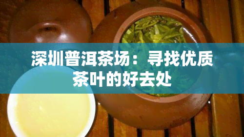 深圳普洱茶场：寻找优质茶叶的好去处
