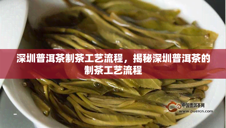 深圳普洱茶制茶工艺流程，揭秘深圳普洱茶的制茶工艺流程