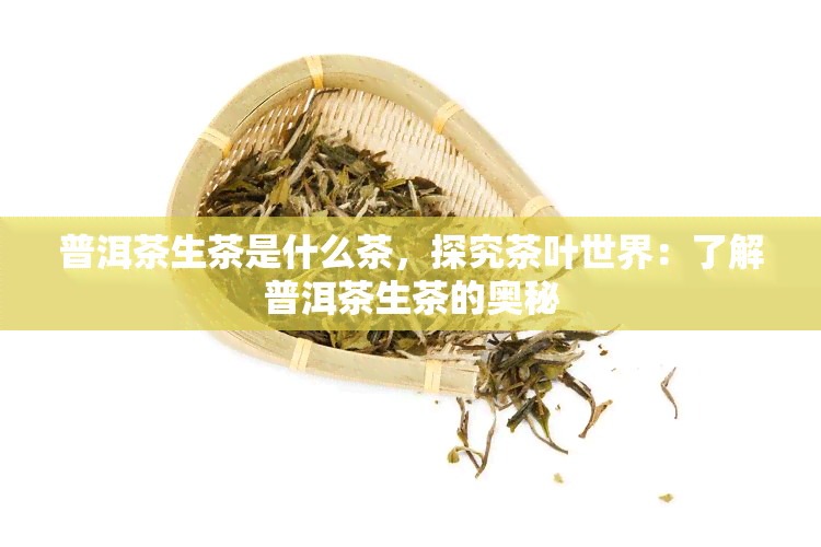 普洱茶生茶是什么茶，探究茶叶世界：了解普洱茶生茶的奥秘