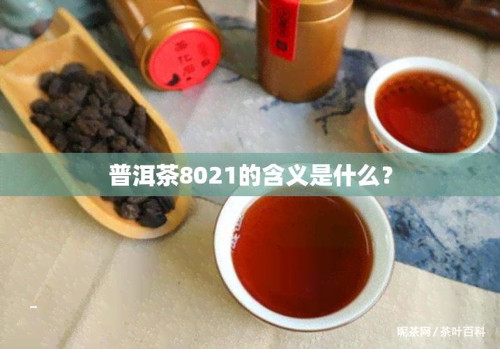 普洱茶8021的含义是什么？