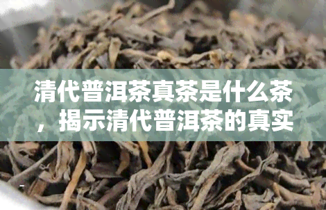 清代普洱茶真茶是什么茶，揭示清代普洱茶的真实面貌：它到底是什么茶？