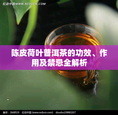 陈皮荷叶普洱茶的功效、作用及禁忌全解析