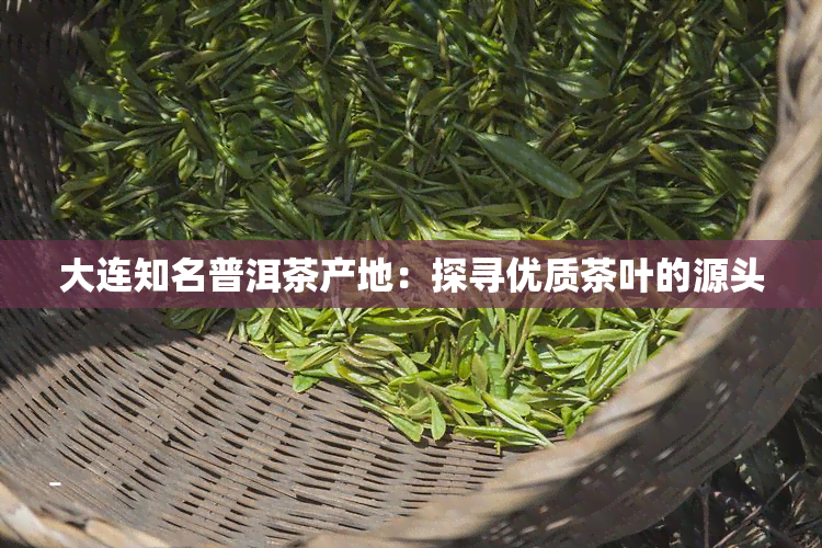 大连知名普洱茶产地：探寻优质茶叶的源头
