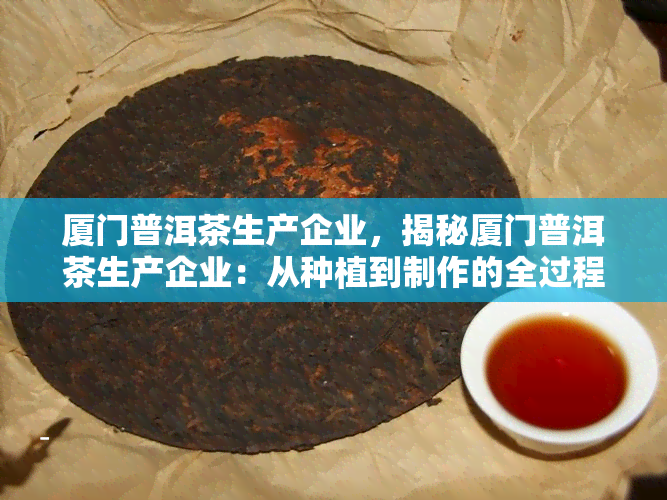 厦门普洱茶生产企业，揭秘厦门普洱茶生产企业：从种植到制作的全过程解析