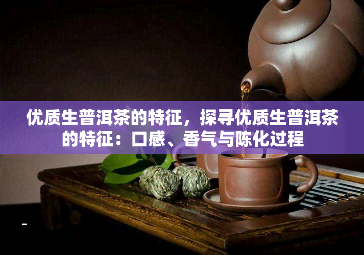 优质生普洱茶的特征，探寻优质生普洱茶的特征：口感、香气与陈化过程