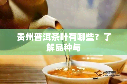 贵州普洱茶叶有哪些？了解品种与