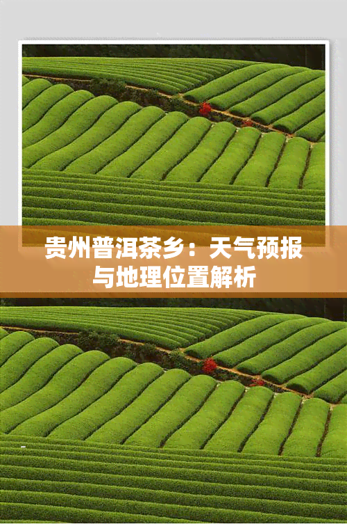 贵州普洱茶乡：天气预报与地理位置解析