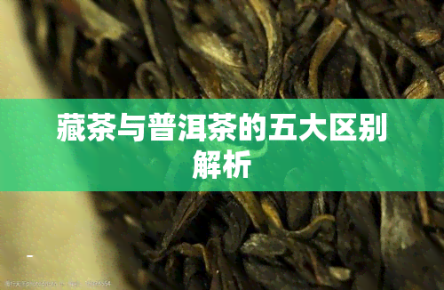 藏茶与普洱茶的五大区别解析