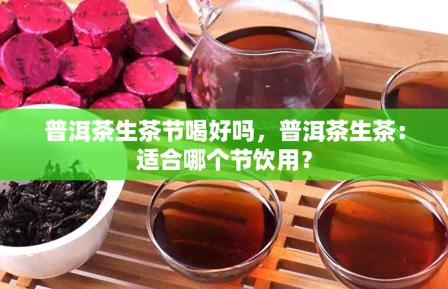 普洱茶生茶节喝好吗，普洱茶生茶：适合哪个节饮用？