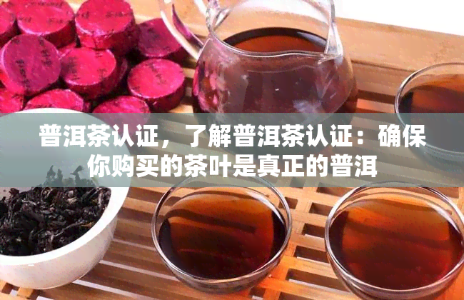 普洱茶认证，了解普洱茶认证：确保你购买的茶叶是真正的普洱