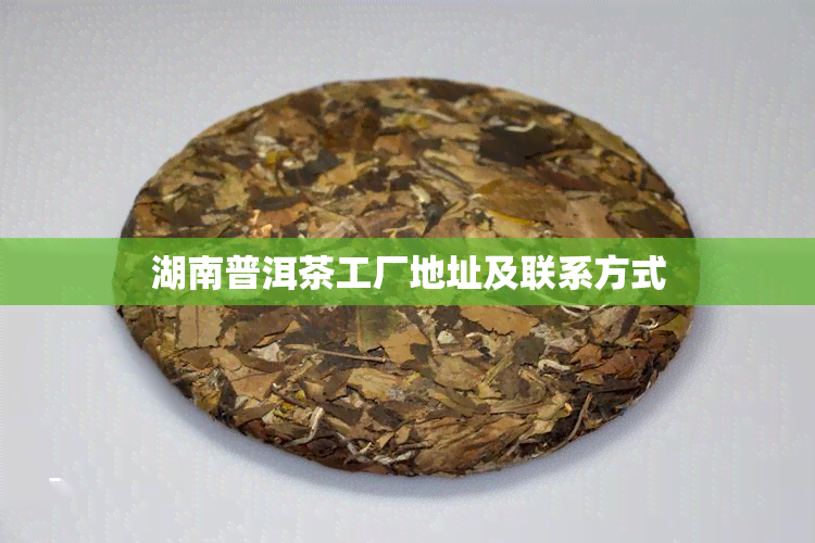 湖南普洱茶工厂地址及联系方式