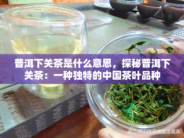 普洱下关茶是什么意思，探秘普洱下关茶：一种独特的中国茶叶品种