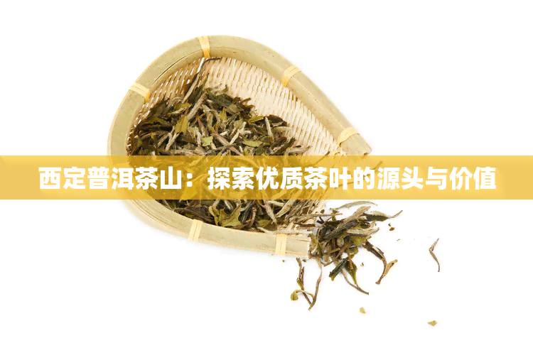 西定普洱茶山：探索优质茶叶的源头与价值