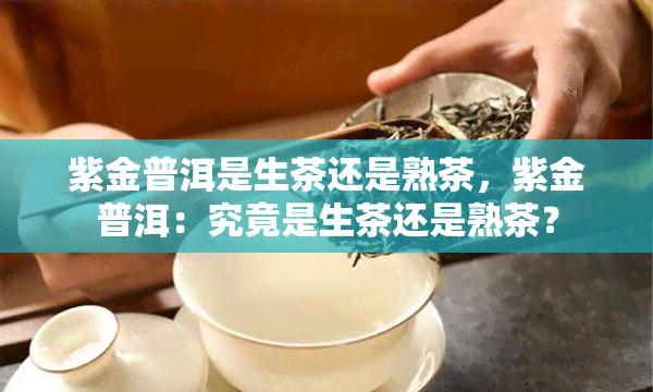 紫金普洱是生茶还是熟茶，紫金普洱：究竟是生茶还是熟茶？
