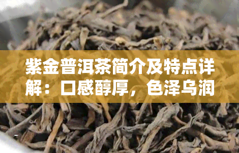 紫金普洱茶简介及特点详解：口感醇厚，色泽乌润，陈化越久香气越浓。附高清图片欣。