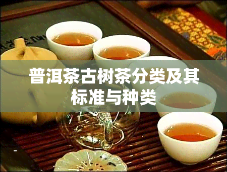 普洱茶古树茶分类及其标准与种类
