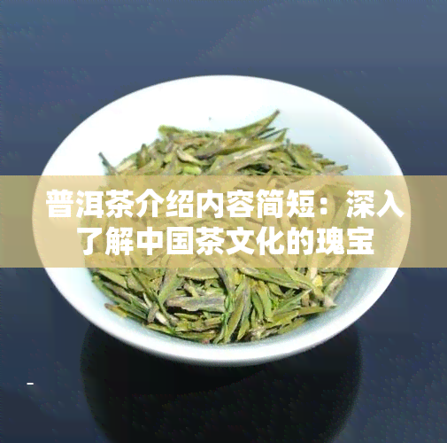 普洱茶介绍内容简短：深入了解中国茶文化的瑰宝