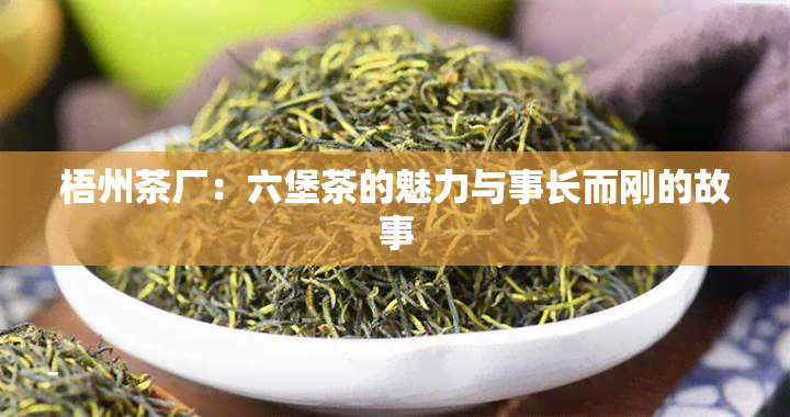 梧州茶厂：六堡茶的魅力与事长而刚的故事