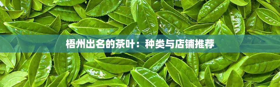 梧州出名的茶叶：种类与店铺推荐
