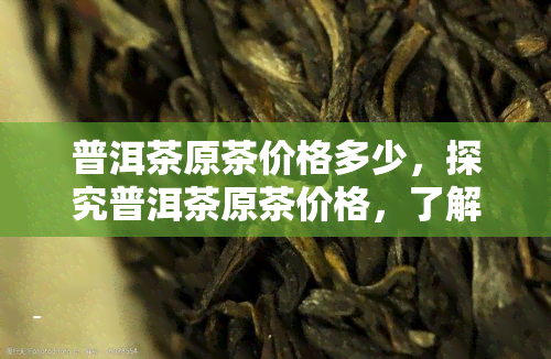 普洱茶原茶价格多少，探究普洱茶原茶价格，了解市场价格趋势