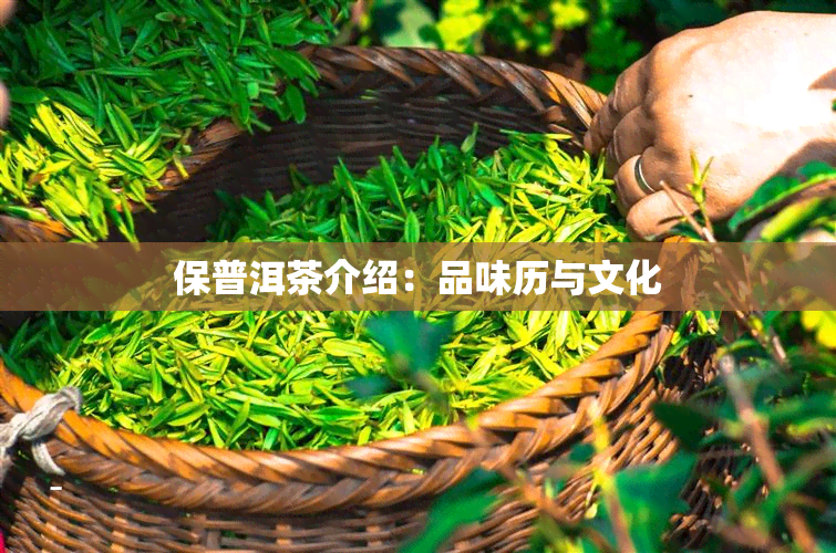 保普洱茶介绍：品味历与文化