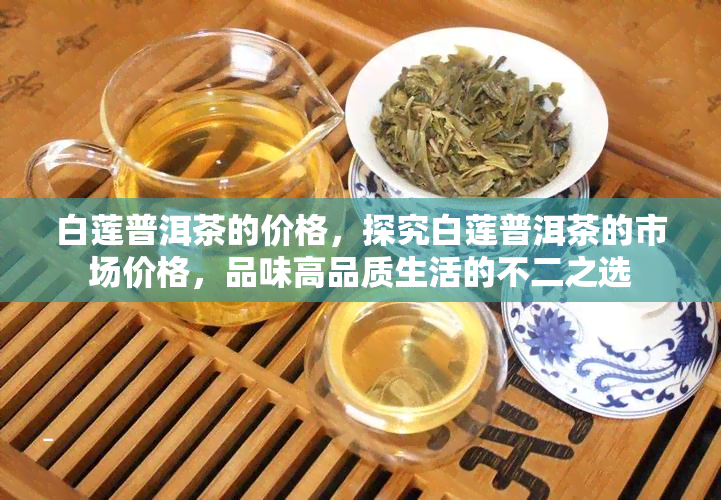 白莲普洱茶的价格，探究白莲普洱茶的市场价格，品味高品质生活的不二之选